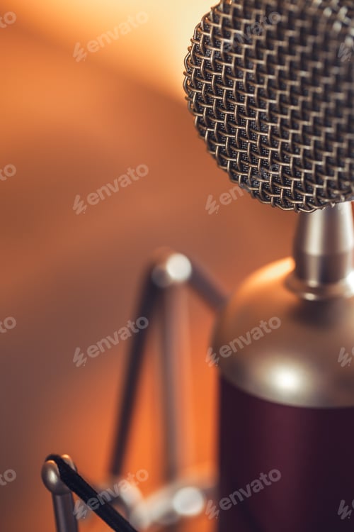 Preview: Professional microphone for sound recording, macro photography.
