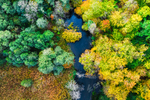 Preview: Top down view of colorful forest and river in autumn