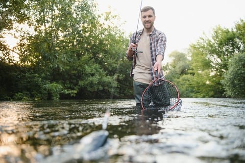 Preview: Fisherman catches a trout on the river in summer