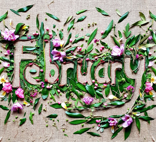 Preview: February,creative text made with flowers