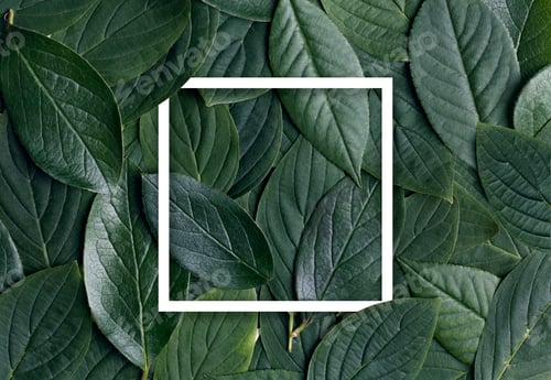 Preview: Green Leaves Background with White Paper Frame. Flat lay.Top view of leaf.Nature concepts