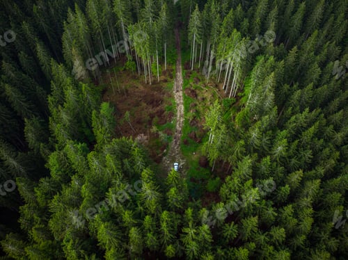 Preview: Off road car adventure on forest road, drone view