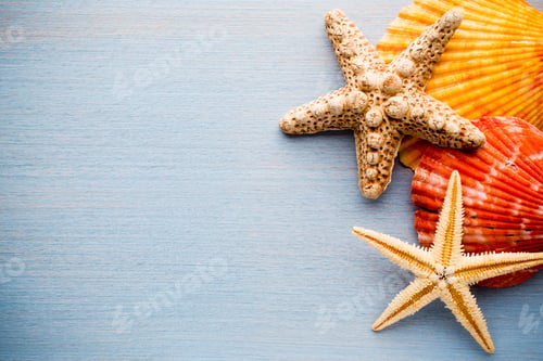 Preview: Starfish.