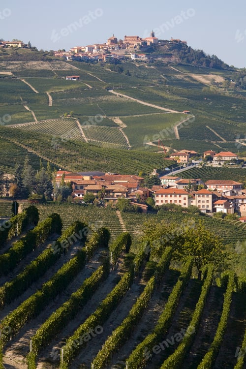 Preview: Vineyards, Barolo, Langhe, Piedmont, Italy