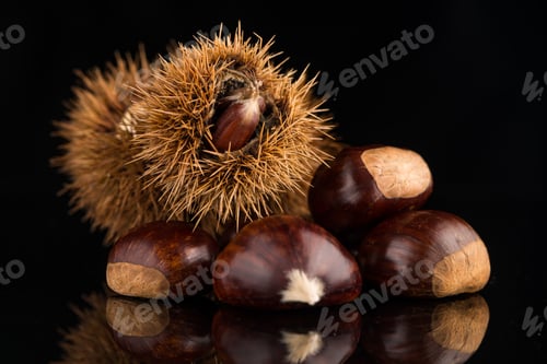 Preview: Chestnuts on a black reflective background
