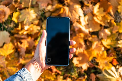 Preview: Woman using smartphone empty screen female hands autumn background colorful leaves