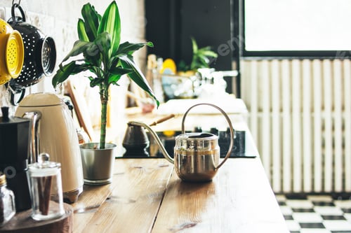 Preview: Kitchen work surface, the interior elements, Scandinavian rustic eco design with green plant