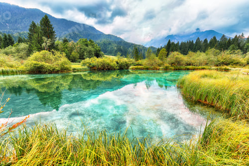 Preview: Amazing summer view on Zelenci lake with beautiful reflections in water.