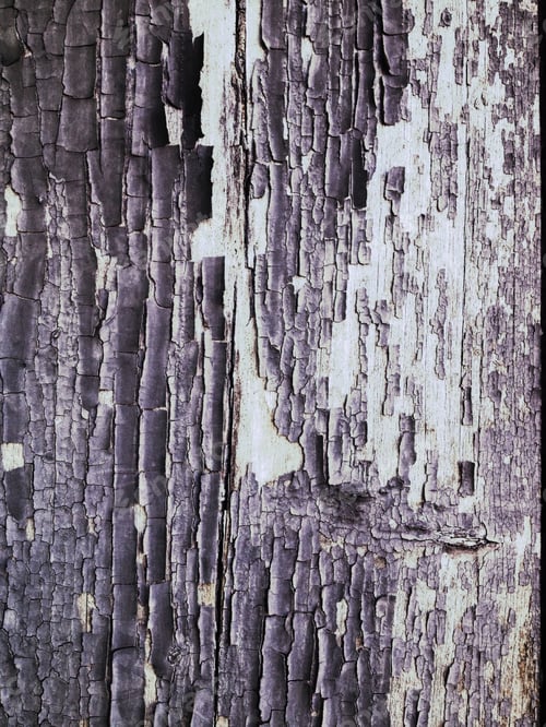 Preview: Grunge Wood Texture And Background