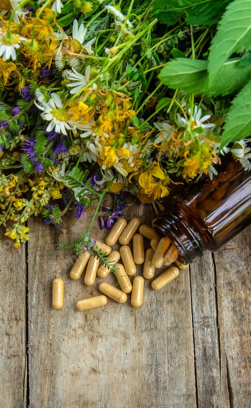Herbal Remedy Still Life with Capsules and Flowers