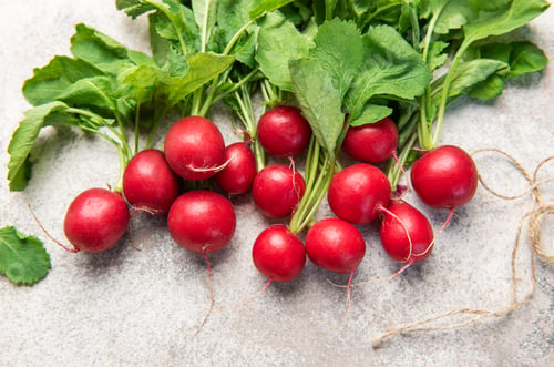 Preview: Fresh radishes with green leaves on grey background