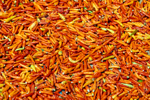 Preview: Chili pepper