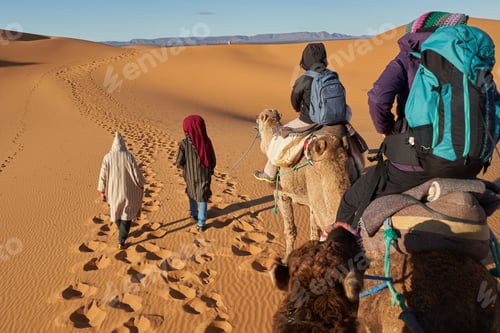 Preview: Camels and people going in desert