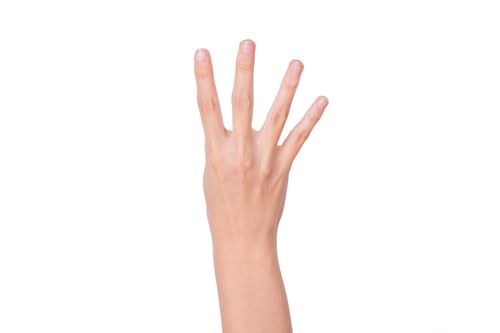 Preview: woman hand