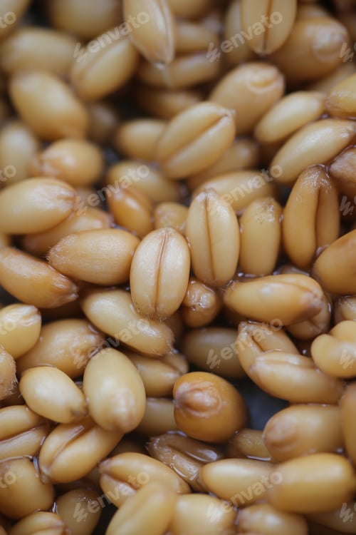 Preview: Wheat Grain Lies On The Table