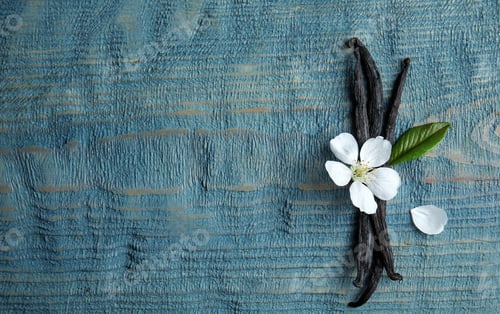 Preview: Flat lay composition with aromatic vanilla sticks and flower on wooden background, space for text
