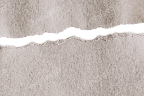 Preview: blank white ragged paper texture isolated on white