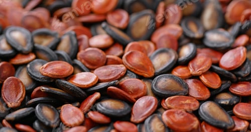 Preview: Stack of mix of black and red melon seed for lunar new year snack
