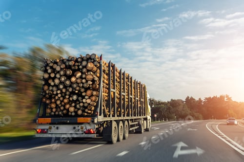 Preview: back view of long heavy industrial wood carrier cargo vessel truck trailer with big timber pine,