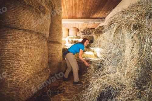 Preview: Woman taking out the hay for the horses to eat