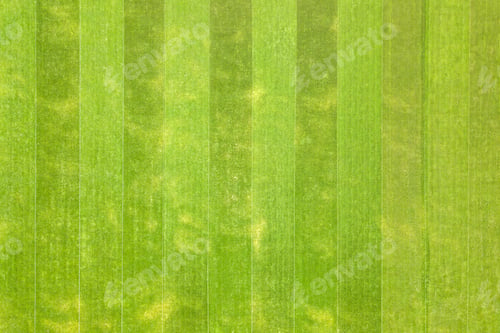 Preview: Close up aerial view of surface of green freshly cut grass on football stadium in summer.