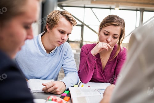 Preview: Group of students engaged in focused study at a bright and airy table.