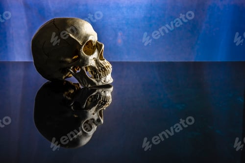 Preview: Skull