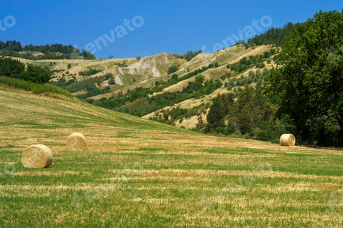 Preview: Country landscape near Castrocaro and Predappio, Emilia-Romagna
