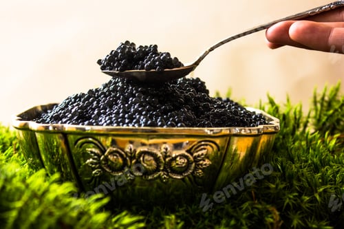 Preview: Black caviar in a bowl with lemon close up over moss green background, top view