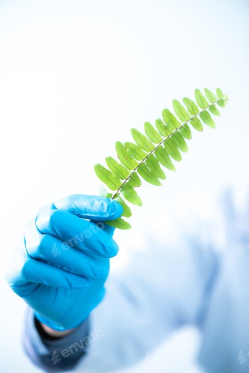 Preview: Researchers are studying natural extracts in the laboratory