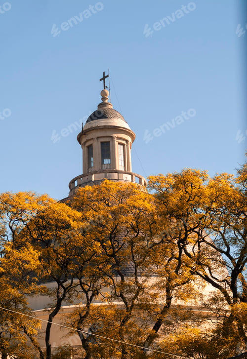 Preview: High-rise Church with a clock tower surrounded by a tree on a blue sky