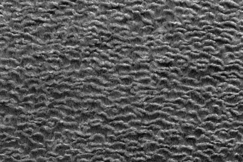 Preview: Abstract Texture Of Graphitic Color Of Short-Haired Fur Fabric With Wavy Curls For Empty Backgrounds