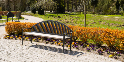 Preview: Green wooden bench in the park on sunny day in autumn spring summer season. Public Olivia park in