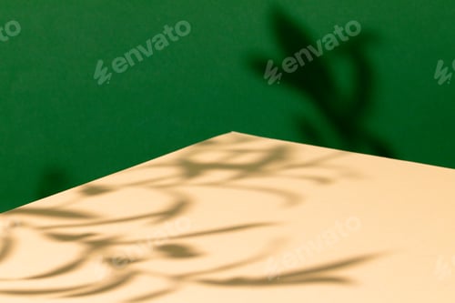 Preview: House plant shadow on a beige surface against green background