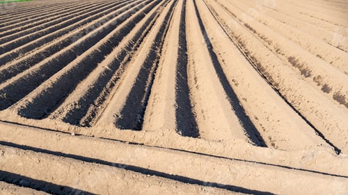 Preview: Plowed field brown soil