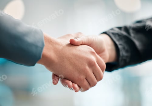 Preview: Person, handshake and meeting in team sports, motivation or thank you in agreement, partnership or