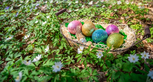 Preview: Easter background for spring holidays. Easter composition with colorful Easter eggs on moss