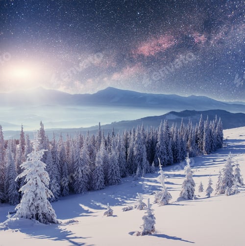 Preview: Dairy Star Trek in the winter woods