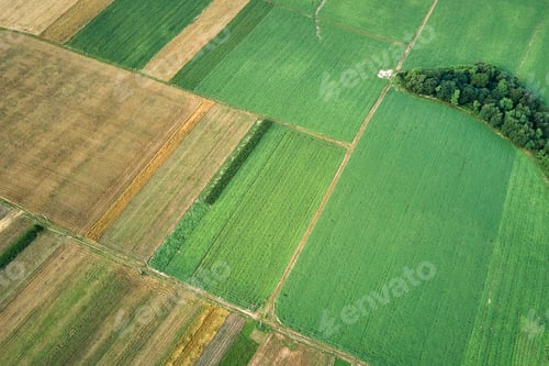 Preview: Aerial landscape view of green and yellow cultivated agricultural fields
