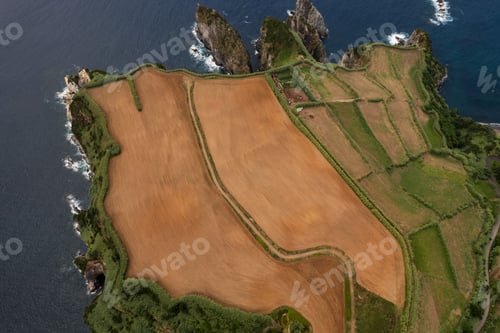 Preview: Rural fields on coast near sea
