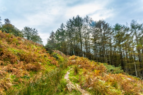 Preview: The path of Mount Adarra in the town of Urnieta near San Sebastian, Gipuzkoa. Basque Country