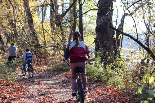 Preview: A group of friends riding a bicycles. Exploring nature, outdoor activities, happiness, autumn season