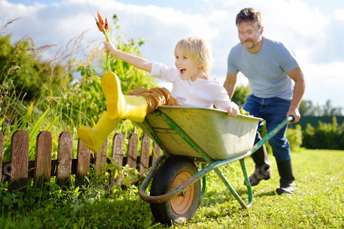 Preview: Happy little boy having fun in a wheelbarrow pushing by dad in domestic garden on warm sunny day.