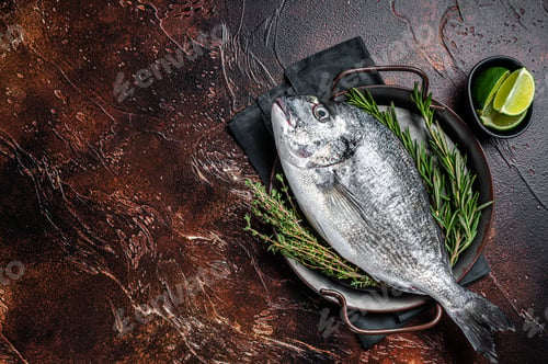 Preview: Uncooked Raw sea bream or dorado fish with herbs. Dark background. Top view. Copy space