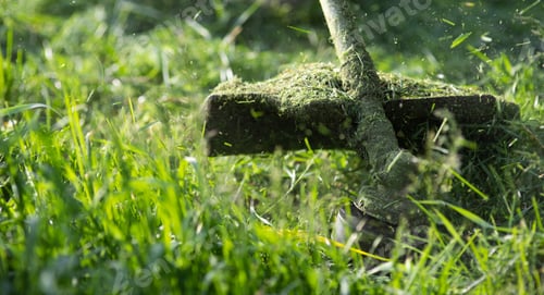 Preview: mowing the grass with a lawn mower, garden work concept background