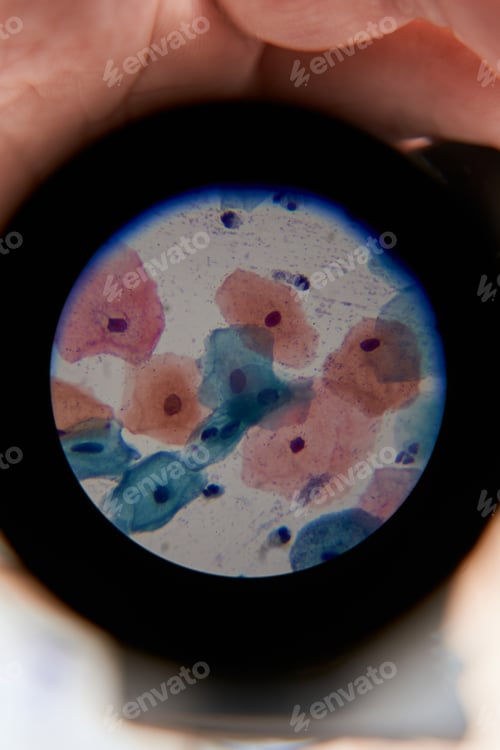 Preview: Color image in microscope of microorganisms in the lab