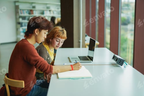 Preview: Young students learning together inside school library