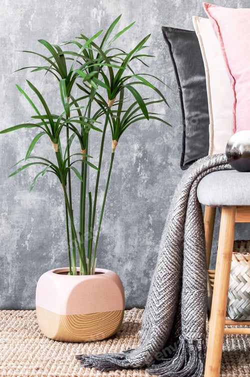 Preview: Stylish composition of cozy living room interior details and colorful classy pillows