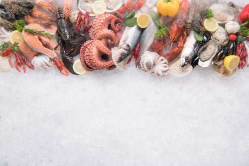 Preview: Fresh Seafood Display on Ice with Various Shellfish