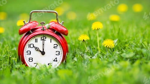Preview: Summertime banner - alarm clock and dandelion flowers